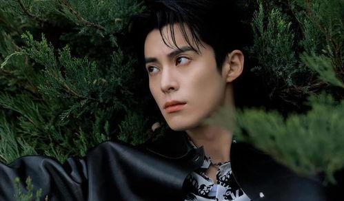 王鹤棣最新娱乐爆料消息,娱乐爆料揭秘他的最新生活点滴